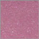 Dianthus