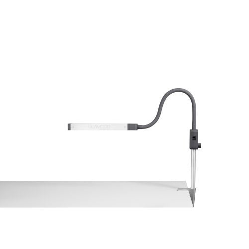 GLAMCOR Mono Light (Pre Order Only, 1-2 week wait)