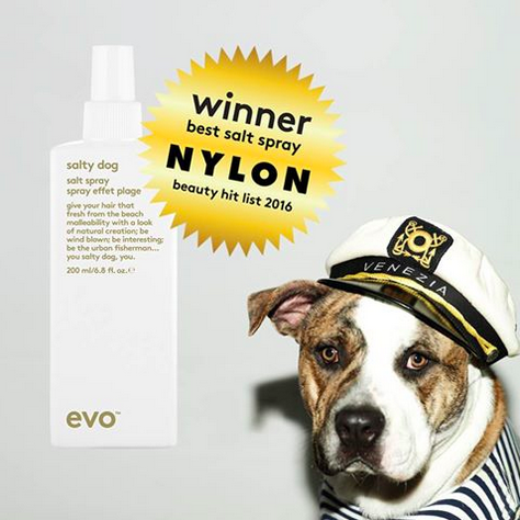 evo Salty Dog Beach Spray