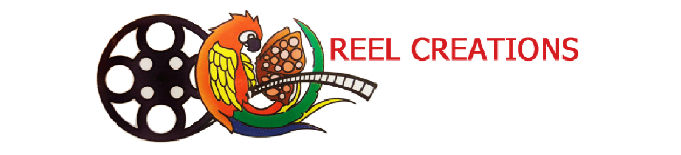 Reel Creations
