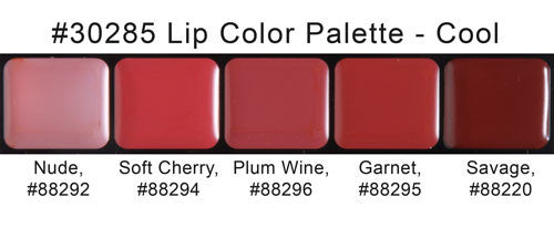 cool shades lip palette