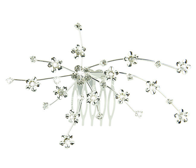 Flower Burst