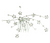 Flower Burst