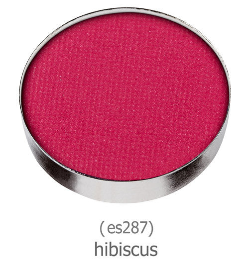 es287 hibiscus